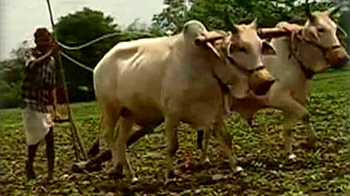 किसानों को बारिश का इंतजार!