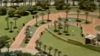 Live like a Tiger - in  Dubai