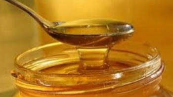 जागी सरकार, शहद की होगी जांच