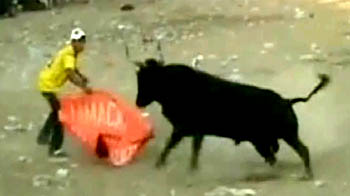 Colombia bull fight leaves nearly 48 injured