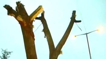 Video : Trees cut before President's visit in Ranchi
