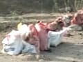 Video : Bihar: 7 children killed as bomb found yesterday explodes