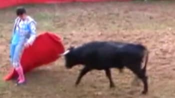 Video : Bull rips bullfighter's pants