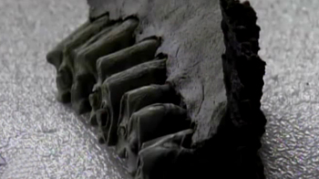 Bones that are 43,000 years old discovered