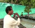Videos : श्रीलंका दौरे का लुत्फ