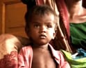 Madhya Pradesh: Battle for food gets desperate, grain rotting continues