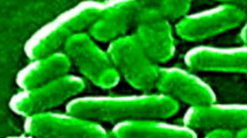 सुपरबग से मेडिकल टूरिज़्म पर ख़तरा