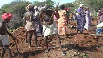 Tamil Nadu: NREGA over farms?