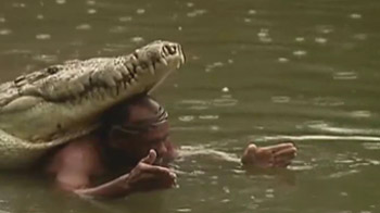 Man performs with dangerous crocodile