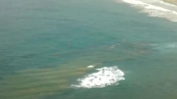 Kerala's artificial reef slammed