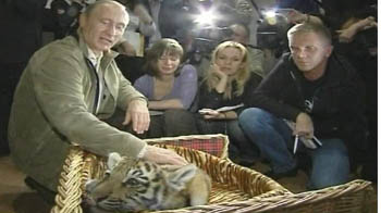 St Petersburg declaration for the tiger