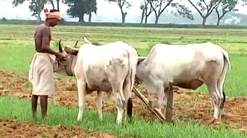 Tracking the monsoon: What's in store for Orissa's farmers?