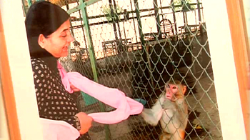 कैमरामैन की फोटो प्रदर्शनी