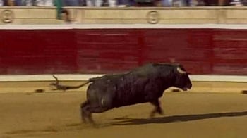 Video : Spain: Raging bull leaps into stands injuring 30