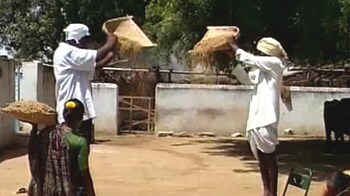 Video : Andhra farmers' problem of plenty
