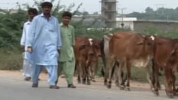 Video : Displaced Pakistanis return home