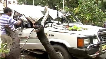 Video : Mumbai: Tree falls on car, driver killed