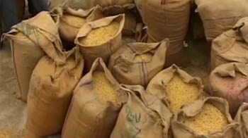 Video : 4000 sacks of soyabean rotting in Nagpur