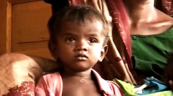 Video : Madhya Pradesh: Battle for food gets desperate, grain rotting continues