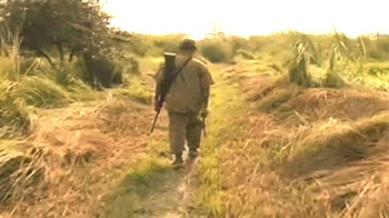 Glimmer of hope for Orang Tigers