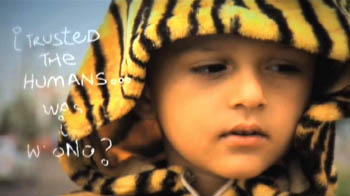 A song dedicated to save the tiger