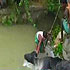 Flood wreaks havoc in Orissa