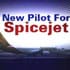 New pilot for SpiceJet