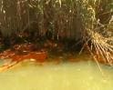 Gulf oil spill hits Louisiana coastline