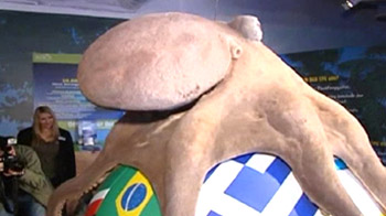 Paul the Octopus immortalised in soccer avatar Paul the Octopus immortalised in soccer avatar