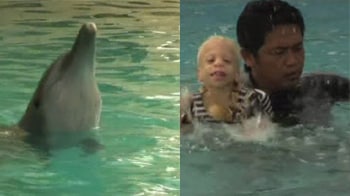 Video : Dolphins with 1000 patients