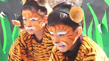 Delhi students' tribute to the big cats