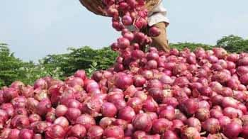 Video : Pune: Onion trade halted over ban on exports