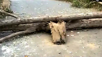 नक्सलियों ने बंद किया हाइवे