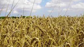 Pranab: Food inflation remains a concern