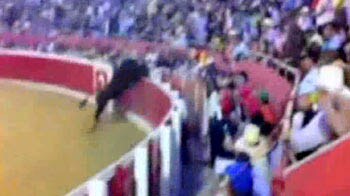 Bull jumps into audience arena at bull fight
