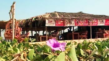 बीच पर शैक्स बने खतरा