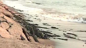 Video : Saving Goa's coastline