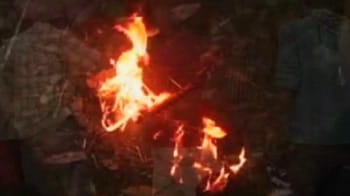 Videos : तेंदुए को जिंदा जलाकर मार डाला