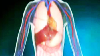 अब पूरी बॉडी होगी ट्रांसप्लांट! अब पूरी बॉडी होगी ट्रांसप्लांट!