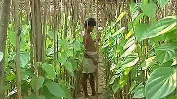POSCO site: Tribals trying to prove their existence