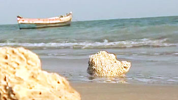 NDTV's journey to save our coast