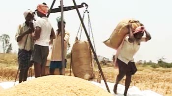 Video : Andhra Pradesh: Bumper harvest, but farmers still in crisis