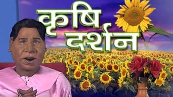 बच्चा, यहां तो सब 'माया' है...