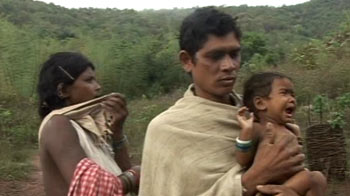 Cost of hunger, weight of survival