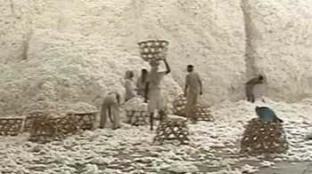 Cotton and yarn prices dip on falling global demand