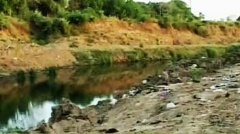 Video : Crocodiles thrive in polluted Vishwamitra