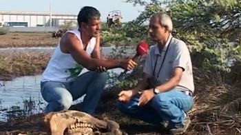 ग्रीन रन में हजीरा पहुंचे मिलिंद