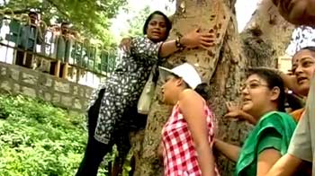 Tree trauma in Bangalore