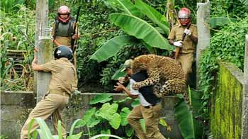 Caught on camera: Leopard attacks forest guard