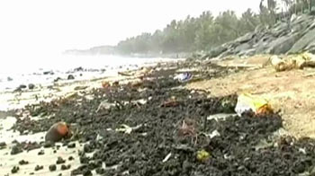 Oil spill damage: Who should pay?